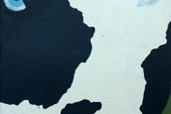 Behi euskaldun baten memoriak (Pamiela, 1991)