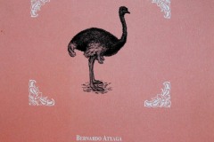 Lezio-berri-bat-ostrukari-buruz-2