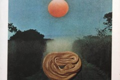 Historias-Storie-di-obaba-2