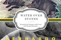 water-over-stones-atxaga-usagraywolf-2022-2