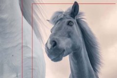 Nevadako-alfaguara-2