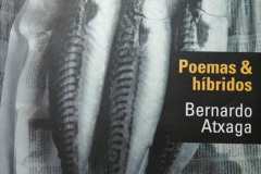 Poemas-hibridos-01-3