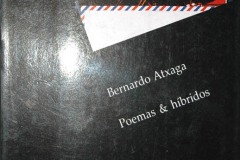 Poemas-hibridos-02-2