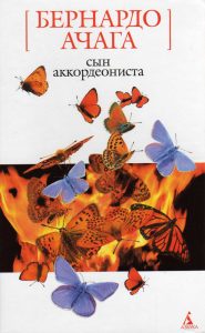 Сьін аккордеониста